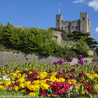 Buy canvas prints of Rochester Castle in Kent, UK by Chris Dorney