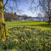Buy canvas prints of Lake Windermere in Spring by Chris Dorney