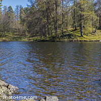 Buy canvas prints of Tarn Hows in the Lake District by Chris Dorney