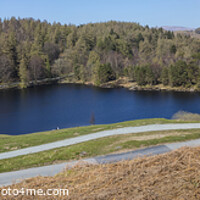 Buy canvas prints of Picturesque View over Tarn Hows in the Lake District by Chris Dorney