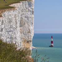 Buy canvas prints of Beachy Head in East Sussex by Chris Dorney