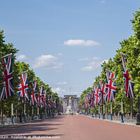 Buy canvas prints of The Mall and Buckingham Palace in London by Chris Dorney