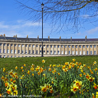 Buy canvas prints of Royal Crescent at Spring by Chris Dorney