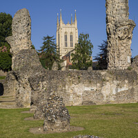 Buy canvas prints of Bury St. Edmunds Abbey Remains and St Edmundsbury Cathedral by Chris Dorney