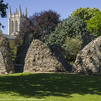 Buy canvas prints of Bury St. Edmunds Abbey Remains and St Edmundsbury Cathedral by Chris Dorney