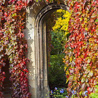 Buy canvas prints of Beautiful Passageway in a Garden by Chris Dorney