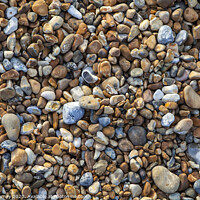 Buy canvas prints of Pebbled Beach by Chris Dorney