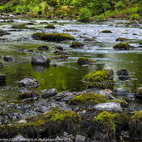 Buy canvas prints of River Rothay in Ambleside by Chris Dorney