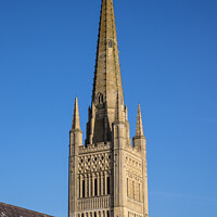 Buy canvas prints of Norwich Cathedral by Chris Dorney