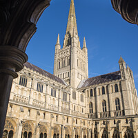 Buy canvas prints of Norwich Cathedral by Chris Dorney