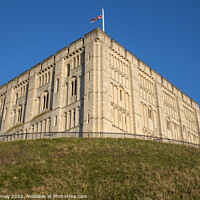 Buy canvas prints of Norwich Castle by Chris Dorney