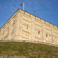 Buy canvas prints of Norwich Castle by Chris Dorney