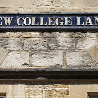 Buy canvas prints of New College Lane in Oxford by Chris Dorney