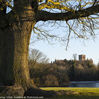 Buy canvas prints of St. Albans Cathedral Viewed from Verulamium Park by Chris Dorney