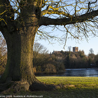 Buy canvas prints of St. Albans Cathedral Viewed from Verulamium Park by Chris Dorney