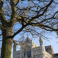Buy canvas prints of St. Albans Cathedral by Chris Dorney