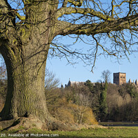 Buy canvas prints of St. Albans in England by Chris Dorney