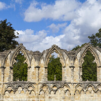 Buy canvas prints of St. Mary's Abbey Ruins in York by Chris Dorney