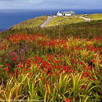 Buy canvas prints of Land's End in Cornwall by Chris Dorney