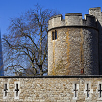 Buy canvas prints of Tower of London and the Shard by Chris Dorney