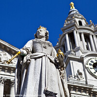 Buy canvas prints of Queen Anne Statue infront of St. Paul's Cathedral by Chris Dorney
