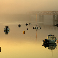 Buy canvas prints of Misty morning on the Camel Trail by Lindsay Philp