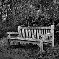 Buy canvas prints of LONELY BENCH by Jennifer Williams