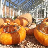 Buy canvas prints of Pumpkins by Adam Ransom