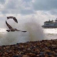 Buy canvas prints of Eastbourne Seafront by Adam Ransom