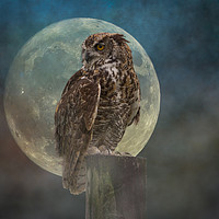 Buy canvas prints of The Owl & the Moon by JOHN RONSON