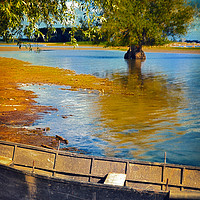 Buy canvas prints of boat under willow tree by Paul Boazu