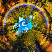 Buy canvas prints of rainbow eye of the forest by Paul Boazu