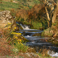 Buy canvas prints of Rannerdale Valley Lake District UK by Linda Lyon