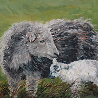 Buy canvas prints of Herdwick Sheep and lamb Oil Painting by Linda Lyon