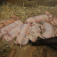 Buy canvas prints of Piglets Oil Painting print by Linda Lyon