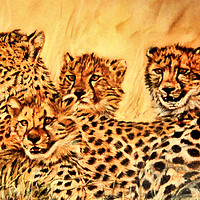 Buy canvas prints of Pastel Painting of Cheetahs by Linda Lyon