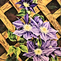 Buy canvas prints of Clematis painting by Linda Lyon