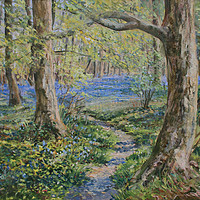 Buy canvas prints of Bluebells at Whitemoss, Oil painting by Linda Lyon