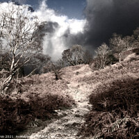Buy canvas prints of Infrared Borrowdale by Linda Lyon