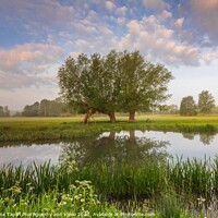 Buy canvas prints of Three Kings on the River Stour at Dedham Vale by Graeme Taplin Landscape Photography