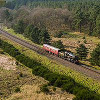 Buy canvas prints of British Rail steam engine in the forest by Graeme Taplin Landscape Photography