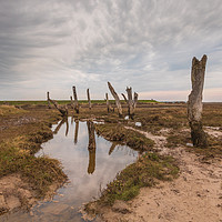 Buy canvas prints of Old timber posts Thornham Norfolk at low tide.  by Graeme Taplin Landscape Photography