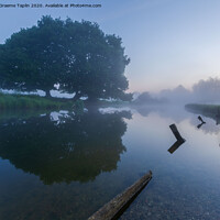 Buy canvas prints of River Stour at Dedham Vale in a misty sunrise by Graeme Taplin Landscape Photography