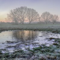 Buy canvas prints of Winter sunrise Dedham Vale by Graeme Taplin Landscape Photography