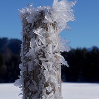 Buy canvas prints of Frosty Alpine Pole                                 by John Iddles