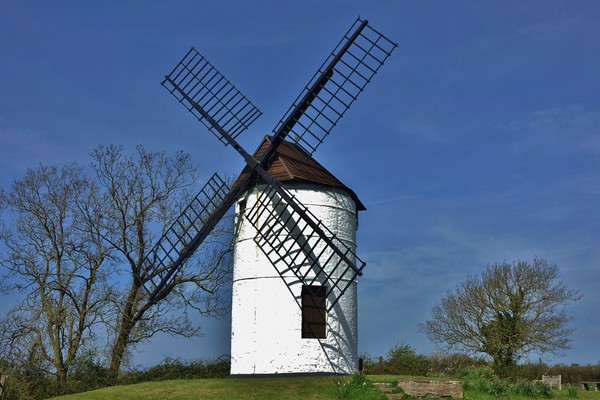 Ashton Windmill, Somerset                          Picture Board by John Iddles