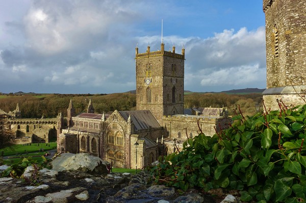 St Davids Cathedral, Bishops Palace & Gatehouse    Picture Board by John Iddles
