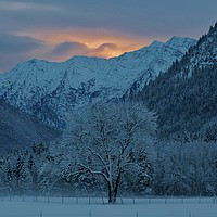 Buy canvas prints of Winter's Dawn by John Iddles