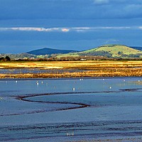 Buy canvas prints of Steart Marshes in late winter sunlight             by John Iddles