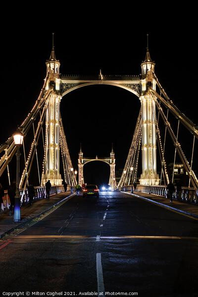 Iconic Albert bridge illuminated at night Picture Board by Milton Cogheil